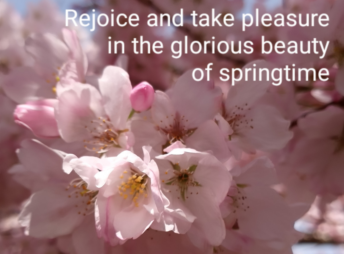 Rejoice and take pleasure