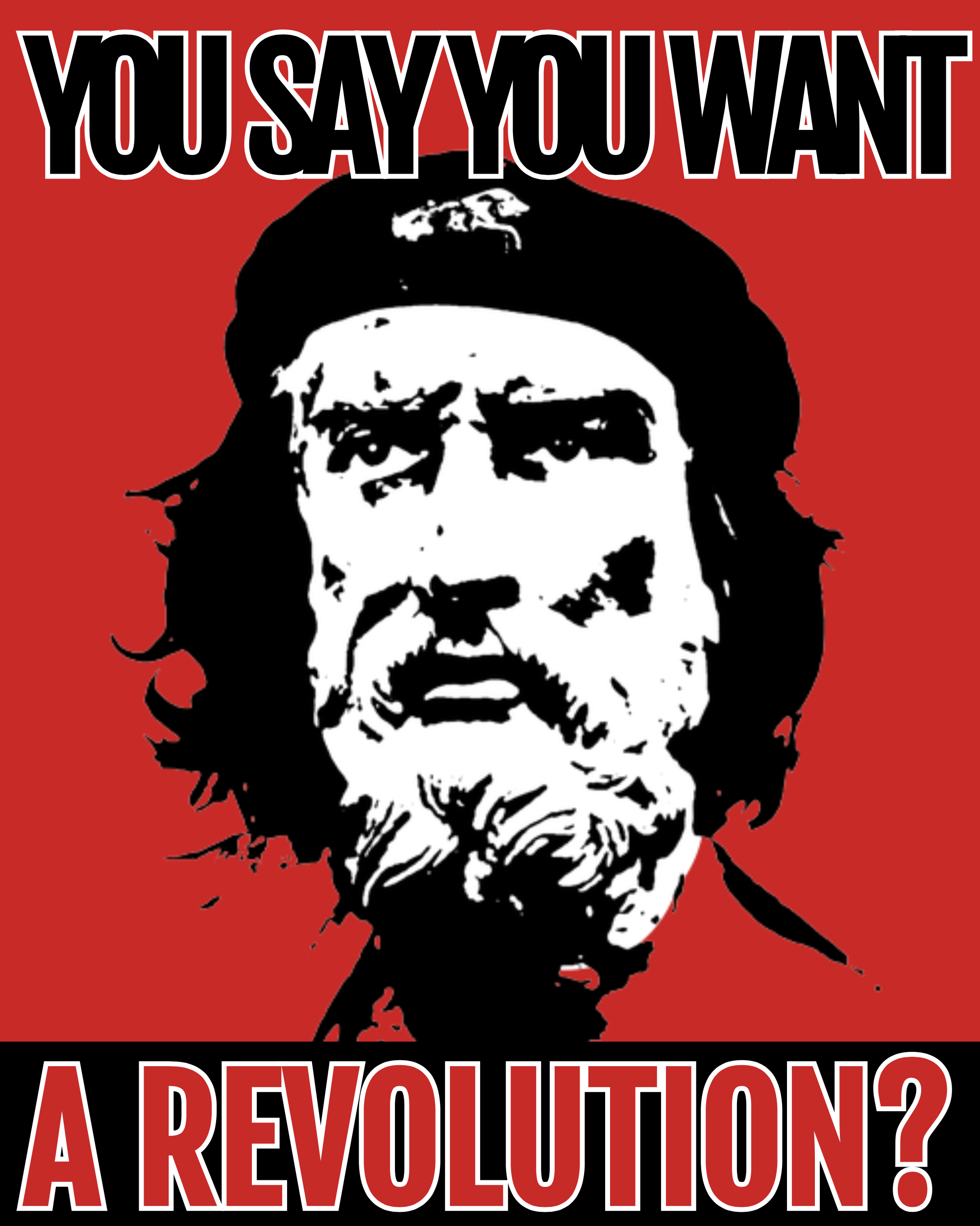 You Say You Want a Revolution?