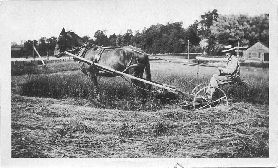 Norman DeWitt At Farm