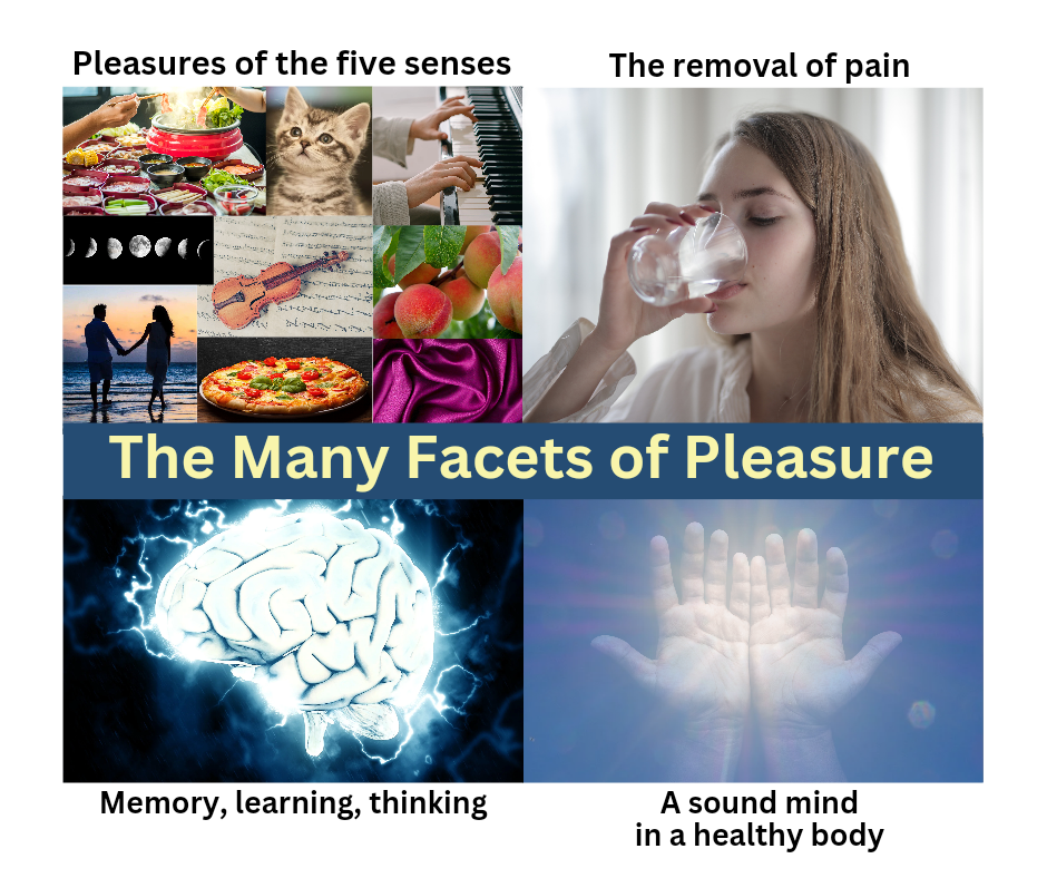 The Many Facets of Pleasure