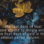 The Last Days of Heat (Happy Eikas!)