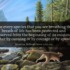 De Rerum Natura 5.857