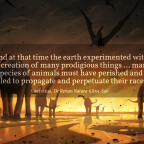 De Rerum Natura 5.855