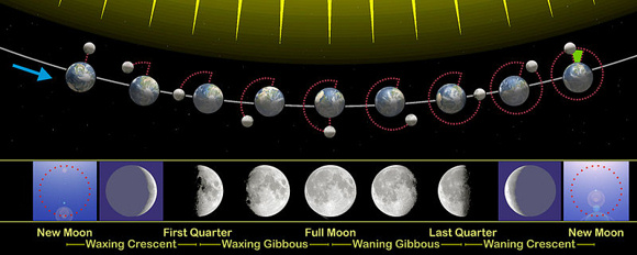 Diagram with line of Earths and moons, and below panels with 9 phases of the moon.