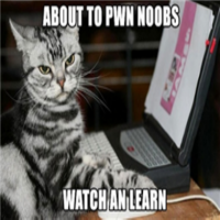 Pwningnoobs