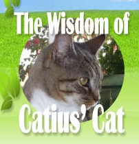 CatiusCatLogo